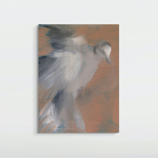 Eurasion Dove by Hannah Mortensen