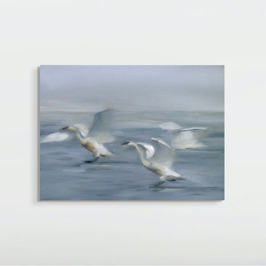 Tundra Swans by Hannah Mortensen